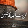 Profilbild von Ismail Shaheen