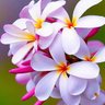 Profilbild von ابوضباع