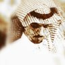 Saad Albaqami's profile picture