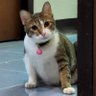 bibs 的头像