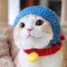 ウメちゃん 的头像