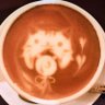 Profilbild von しん
