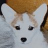 ゆみぱん profil fotoğrafı