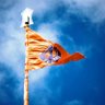 Gurpreet Singh's profile picture