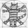 Romanoprodowski's profile picture