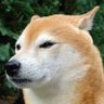 TedIndy 的头像