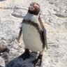 とみかず 的头像