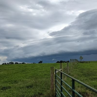 Storm_101's profile picture