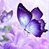 Butterfly ๐ฆ ็ๅคดๅ