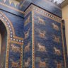 Фото профиля بو وضاح