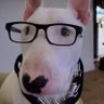 Sophisticated Fido.'s profile picture