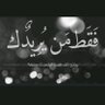 قائد الأسطول's profile picture