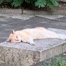 KZ profil fotoğrafı