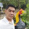 หนุ่มสวนยาง 的头像