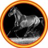 Nobleza Obliga profil fotoğrafı