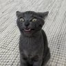 Profilbild von Gremling
