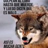 @2arrojas's profile picture