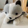 ﾌｶｼﾞ 的头像