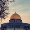 القدس🍃🕊️ 的头像