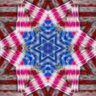 IndivisibLynn's profile picture