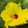 Фото профиля MojoNix001