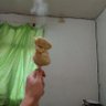 小明 profil fotoğrafı