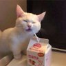 Flapjack's profile picture