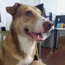 JayB profil fotoğrafı
