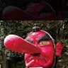 无症状富贵的花和尚 profil fotoğrafı
