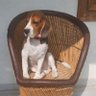 Fast_Fastest's profile picture