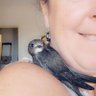 Piou gracia's profile picture