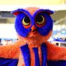 KAYKUŞ ⛷🦉 的头像
