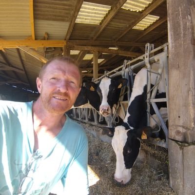 philippe jehan's profile picture