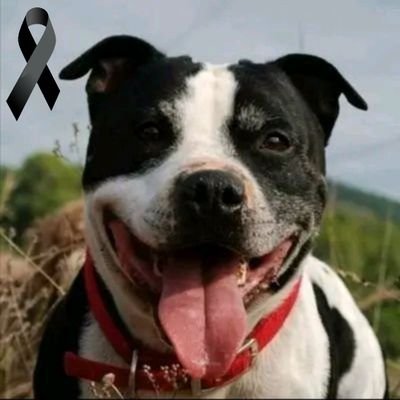 Alexmax_93's profile picture