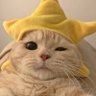 $'s profile picture