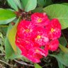 Фото профиля Edi R.