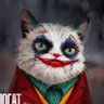 约拿坦 profil fotoğrafı