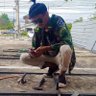 Фото профиля วีรเดช จานแก่น