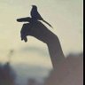 مستر كراون 🇰🇼 profil fotoğrafı