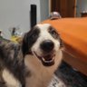 Kris profil fotoğrafı