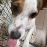 vxs profil fotoğrafı
