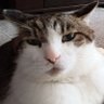 Profilbild von ß