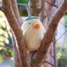 ひぃ's profile picture