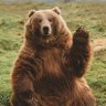 Profilbild von MAGApappabear