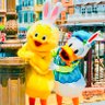 うさぴよ𓂃 𓈒𓏸❁⃘ profil fotoğrafı