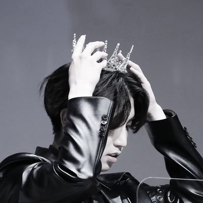 polarstarlight's profile picture