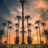 خالد الوائلي 的头像