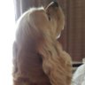 ocean wish's profile picture
