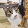 ポテこた☀️ゆまちる profil fotoğrafı