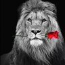 Rouge profil fotoğrafı